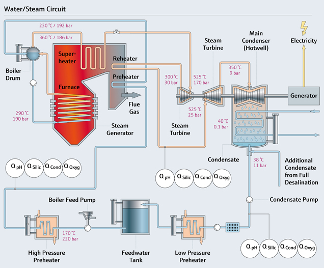 Infographic