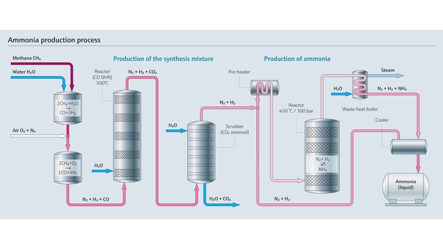 Ammonia production diagram