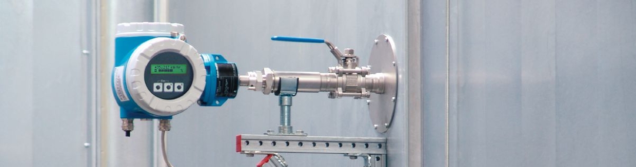 Thermal Mass Flowmeters For All Industries Endress Hauser