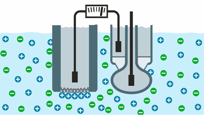 Ion-selective nitrate and ammonium measurement principle