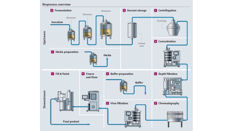 Bioprocess overview