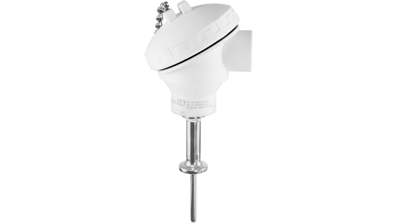 iTHERM TM402 Imperial Hygienic Thermometer | Endress+Hauser