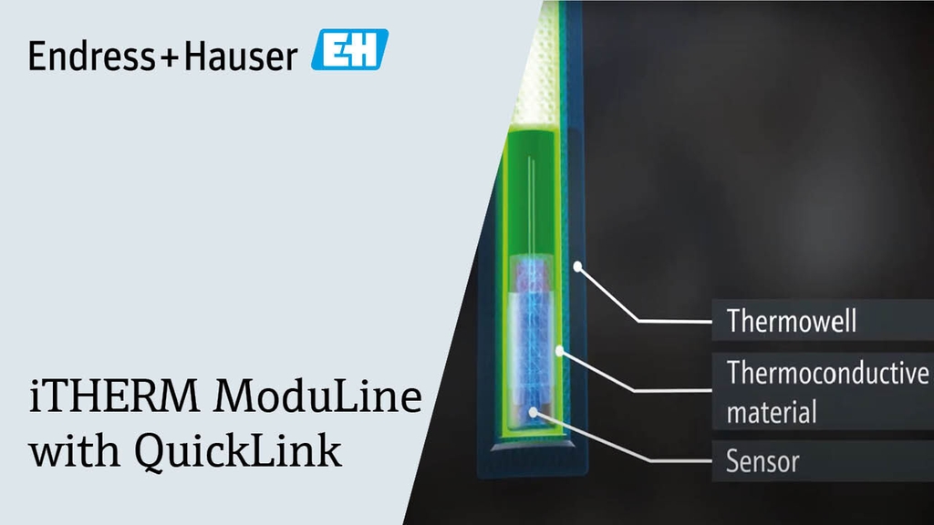Intrinsically Safe Temperature Sensor TM131 | Endress+Hauser