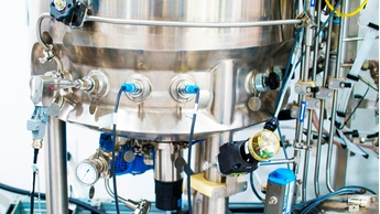 Raman probe in situ in a stainless steel bioreactor