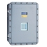 SS2100i TDLAS gas analyzer