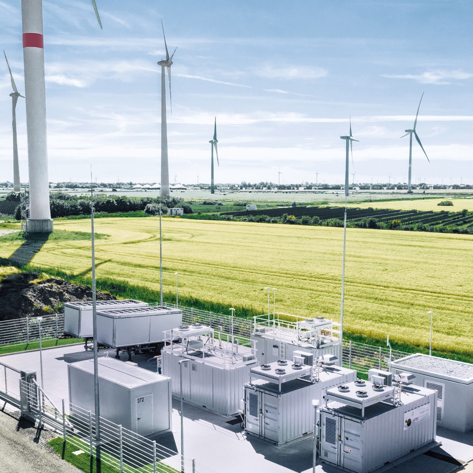 Electrolyzer plant with windmills